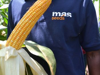 MAS seeds company in Africa